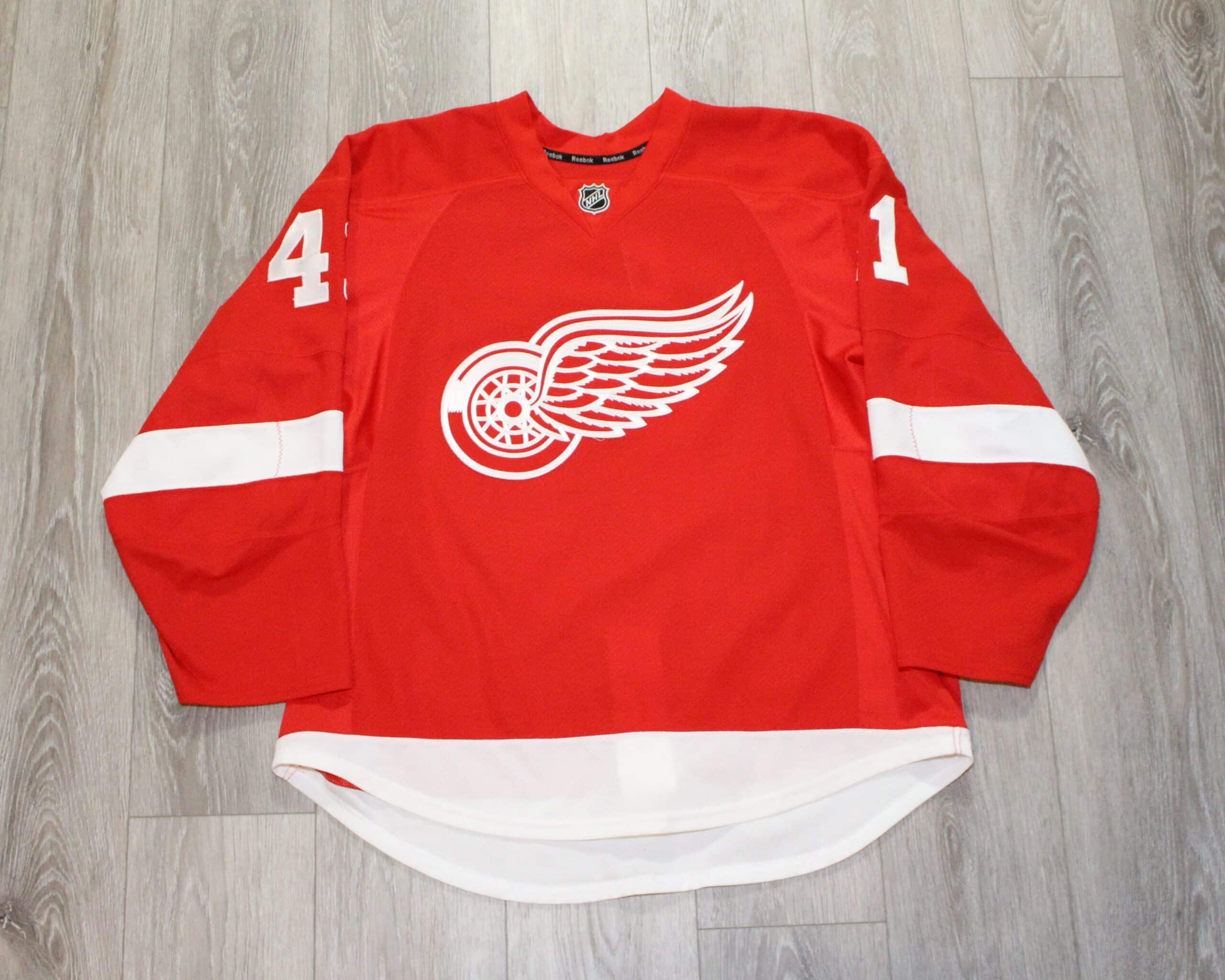 Luke Glendening 2015-16 Detroit Red Wings Stadium Series Practice Game Worn  Jersey 