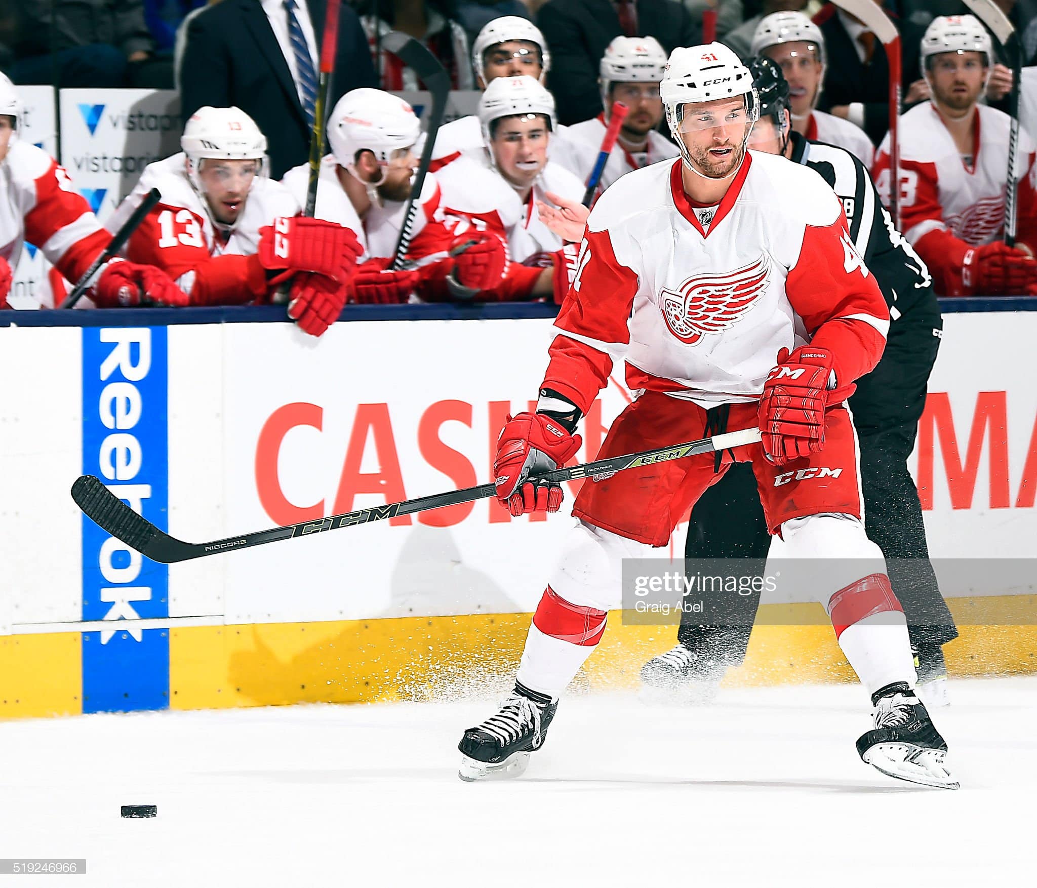 Luke Glendening 2015-16 Detroit Red Wings Stadium Series Practice Game Worn  Jersey 