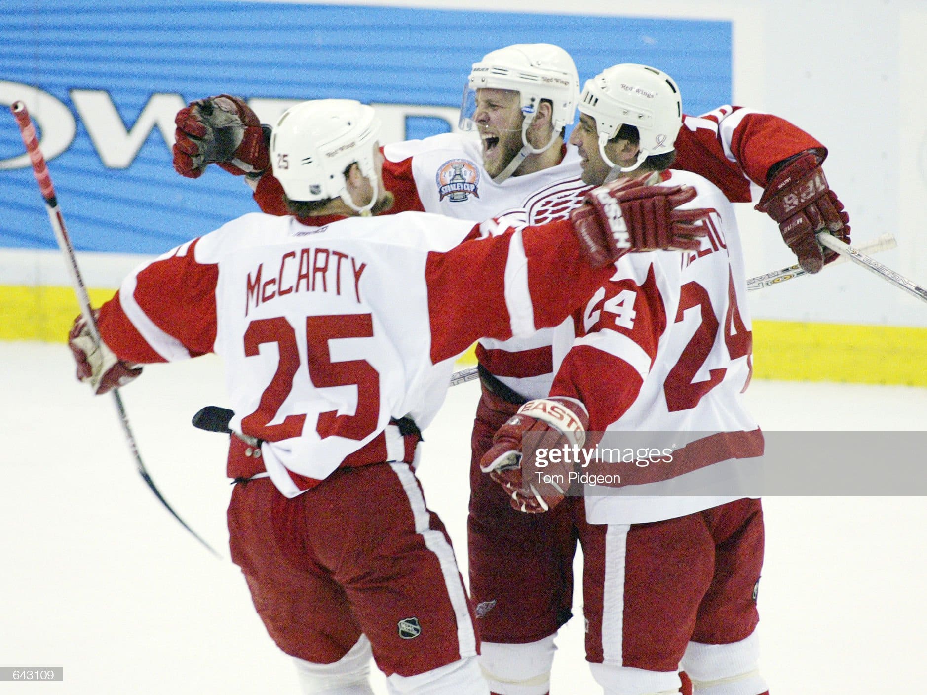 Darren McCarty 2001-02 Detroit Red Wings White Playoff Game Worn Jersey -  Stanley Cup Finals, Matched 